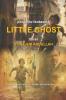 Little Ghost ( peque��o fantasma) Novel