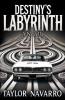 Destiny's Labyrinth A Novella