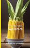 It's Time to Eat Sweetcorn