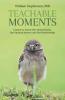 Teachable Moments