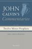 Commentaries on the Twelve Minor Prophets Volume 2