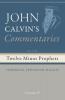 Commentaries on the Twelve Minor Prophets Volume 4
