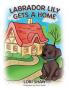 Labrador Lily Gets A Home