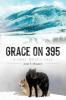 Grace on 395
