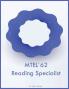 MTEL 62 Reading Specialist