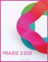 PRAXIS 5205