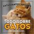 Estudiantes Jóvenes, Todo Sobre Gatos: ¡Aprende Sobre Los Felinos! (Estudiantes Jóvenes, Animales) (Spanish Edition)