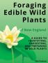 Foraging Edible Wild Plants of New England