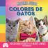 Arcoiris Junior Colores de Gatos