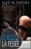 Les Règles De La Fessée : Anthologie De Romances Harem Inversé Mmf (French Edition)