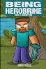 Being Herobrine Book 3