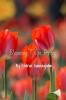 BLOOMING TULIPS POETRY