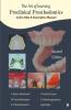 The Art Of Learning Preclinical Prosthodontics