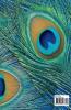 PEACOCK Coloring Book for Kids: Amazing PEACOCK Coloring Book for Kids | Amazing Gift for Boys & Girls Ages 2-4 4-6 4-8 6-8 | Coloring Fun and Awesome Facts | Kids Activities Education and Lea...