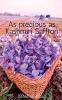 As precious as Kashmiri Saffron : Poetry Anthology