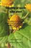 Identity Of Tooth Ache Plant : Description On Morphological Cytological And Anatomical Features Of Members Of Tooth Ache Plant In Kerala