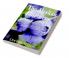 The Alaskan Blueberry : How the Alaskan blueberry can support you with the fight against diabetes cancer dementia enteropathy and many other diseases