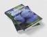 The Alaskan Blueberry : How the Alaskan blueberry can support you with the fight against diabetes cancer dementia enteropathy and many other diseases