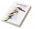 Beautiful Birds coloring book for adults : Stress relieving bird designs to colour