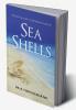 SEA SHELLS