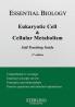Eukaryotic Cell & Cellular Metabolism