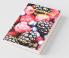 Pharmacognosy And Nutrition : Volume 2