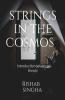 Strings In The Cosmos: Introduction To String Theory