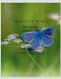 Make your world : Dream like nobody else Second Edition