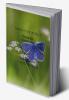 Make your world : Dream like nobody else Second Edition