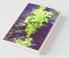 Unave Marundhu Manidha Thirundhu / உணவே மருந்து மனிதா திருந்து: Katurai Thoguppu