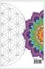 MAGICAL MANDALA – Advanced Coloring Book : Beautiful Abstract Coloring Pages for Adults | Free Your Imagination &amp; Practice Awareness with 55 pages of Beautiful Mandala Pages | For Stress Relief...