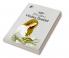 New Year Wishes Booklet / न्यू ईयर विशेस बुकलेट