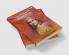 The Essence of Draupadi