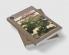 Efflorescence Meraki
