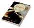 The Salvation Chronicles : The True Meaning of Freedom