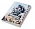 shiv : shiv