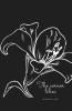 The Corner Lilies