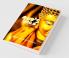 God’S Smile : Collection Of Short Stories