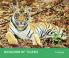Kingdom of Tigers - Tadoba