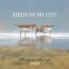 Birds Of My City : Ranchi City