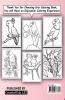 Parrot Coloring Book for Kids : Exotic Coloring Book With Parrots For Childrens Ages 2-10