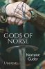 Gods Of Norse (Norrøne Guder)