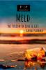 Meld : The Fusion of Love &amp; Life