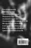 Ceaseless Poetry For You