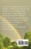 A Homage to Divinity (Volume 2) : Sri Thakur Satyananda: A Towering Icon of Man-making Education