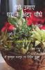 ऐसे उगाए घर के अंदर पौधे (हिन्दी संस्करण) Aese Ugaye Ghar Ke Andar Paudhe (Hindi Edition) / ऐसे उगाए घर के अंदर पौधे (हिन्दी संस्करण): Ek Kadam...........Sakaratmak Vatavan Ki Disha Me