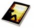 Oppressor-Oppressed : African – American fiction
