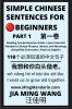 Simple Chinese Sentences for Beginners (Part 1) - Idioms and Phrases for Beginners (HSK All Levels)