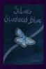 Silver Studded Blue