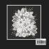 Flowers Coloring Book : Adorable Adult Coloring Book With Beautiful Flowers At Night For Relaxation Anti-Stress